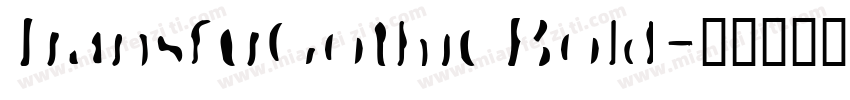 TransferGothic Bold字体转换